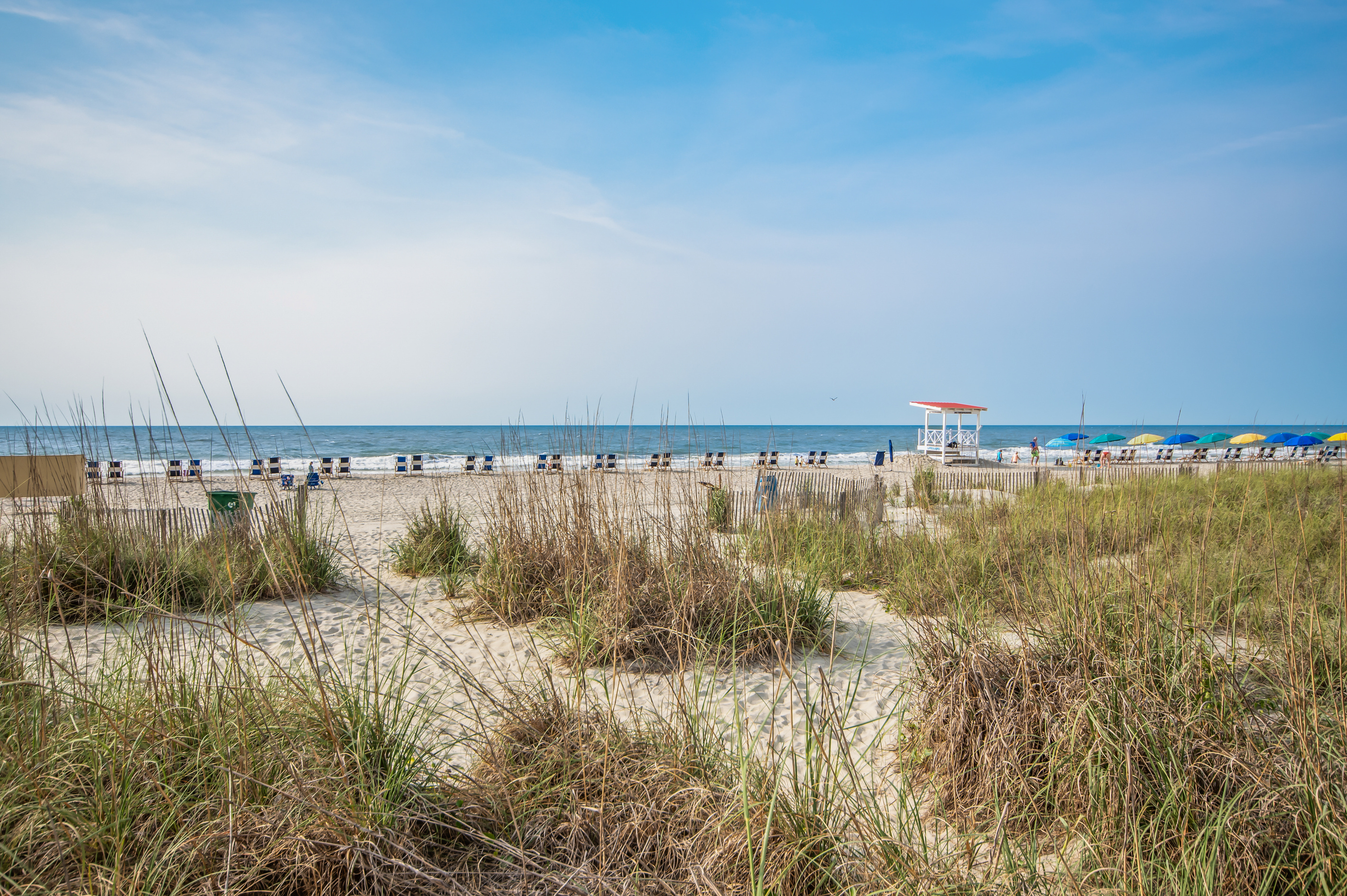 Beautiful natural dunes welcome you to the beach. 
