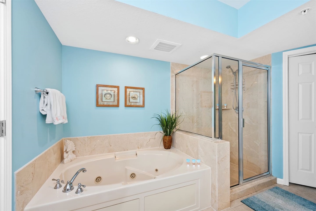 Master bathroom