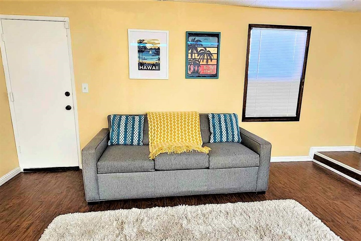 Queen sofa bed