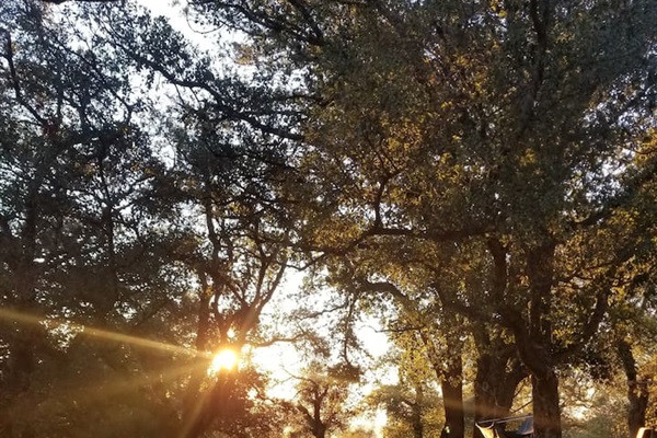 Late afternoon is always a beautiful time up on the mountain 