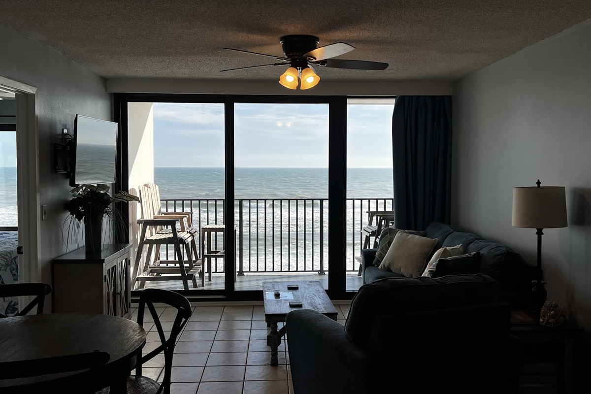 Living Room View