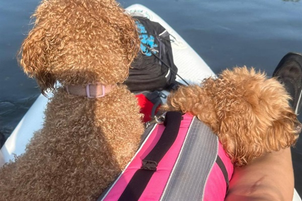 You pups are also welcome to Casita Azul!