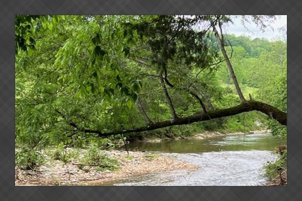 Tomahawk Creek At the Park