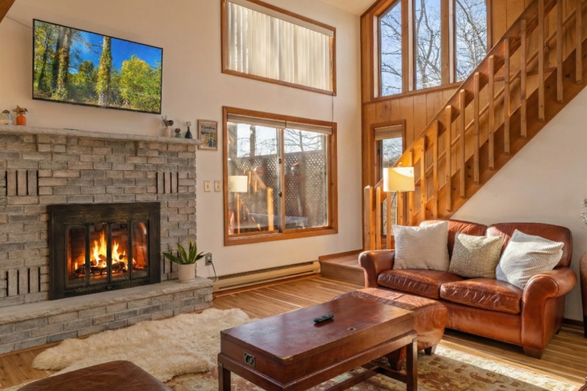 Leather couches, soft rug, warm fire, netflix movies