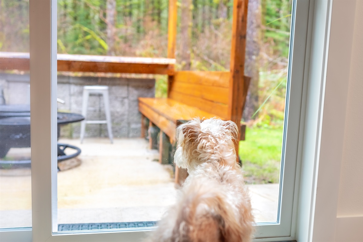 Dogs Welcome!
