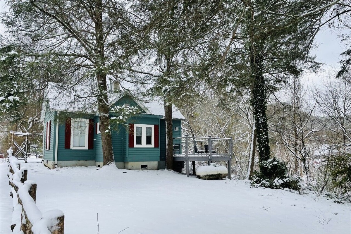 Blue Heron and a fresh blanket of snow