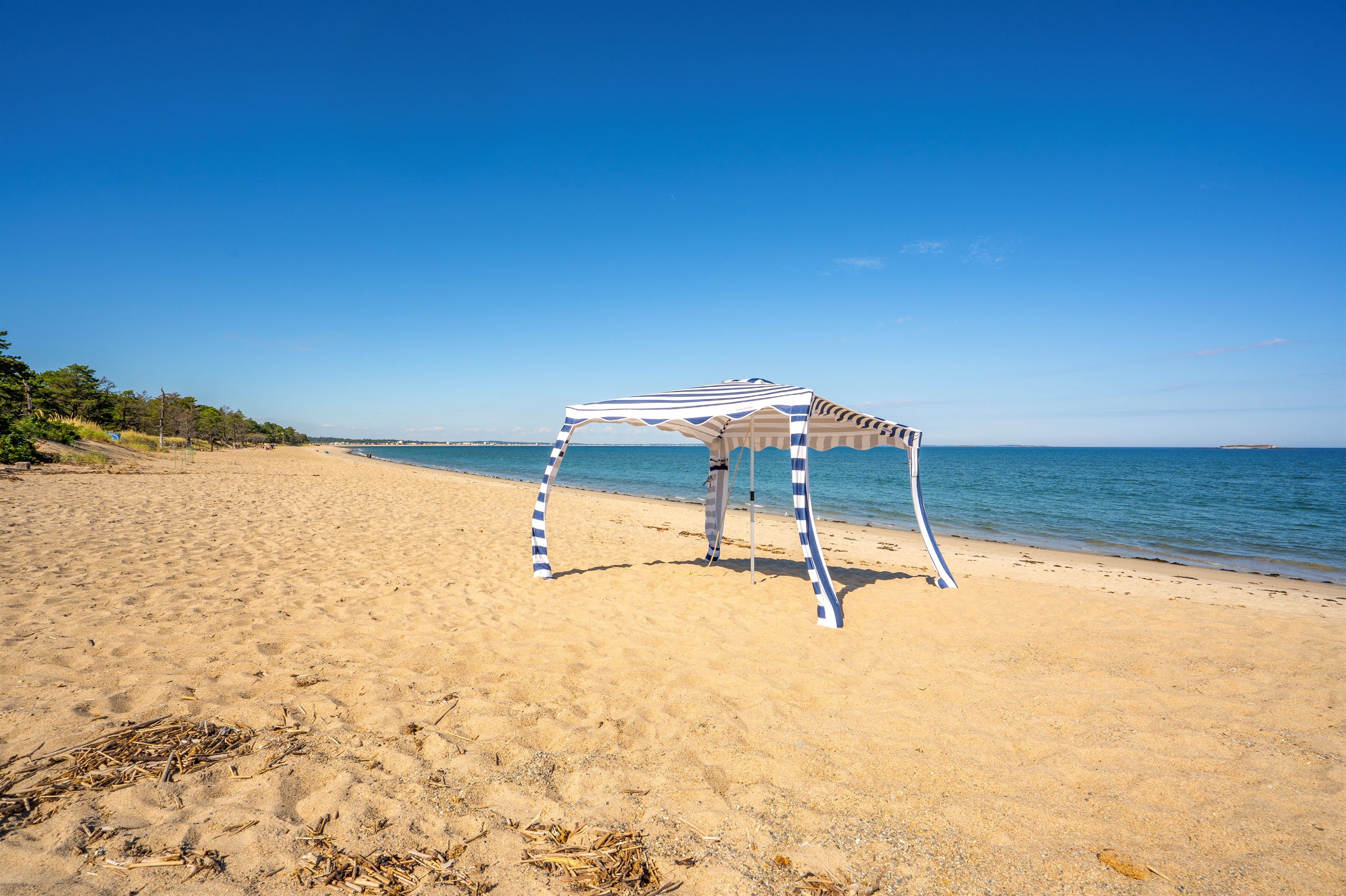 Enjoy easy access to Ferry Beach — a beautiful, peaceful escape just around the corner!