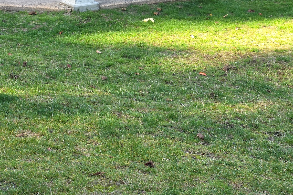 Unit A  - Covered Patio - Natural gas BBQ.