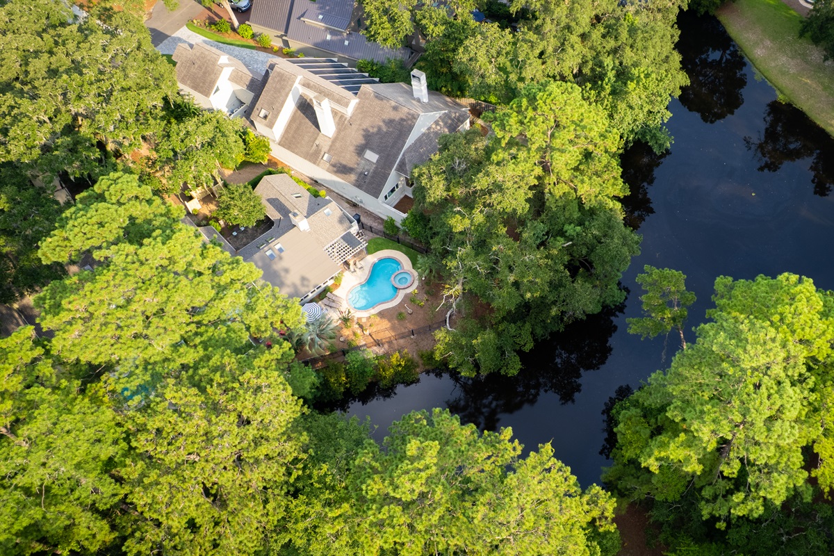 Palm Breeze on Heritage Pond