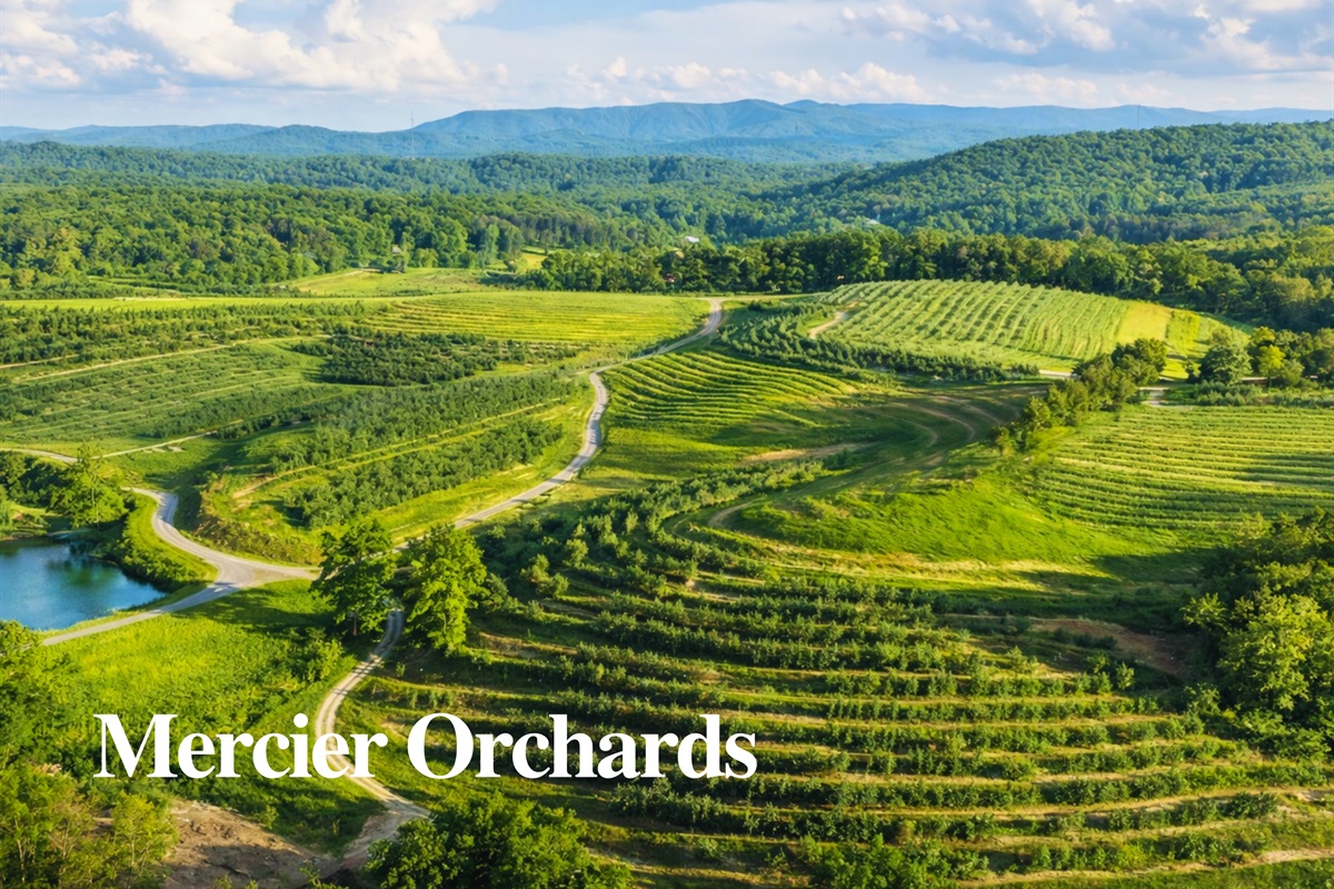 Under 20 mins away, savor the charm of Mercier Orchards with fresh produce, baked treats, and scenic countryside views.