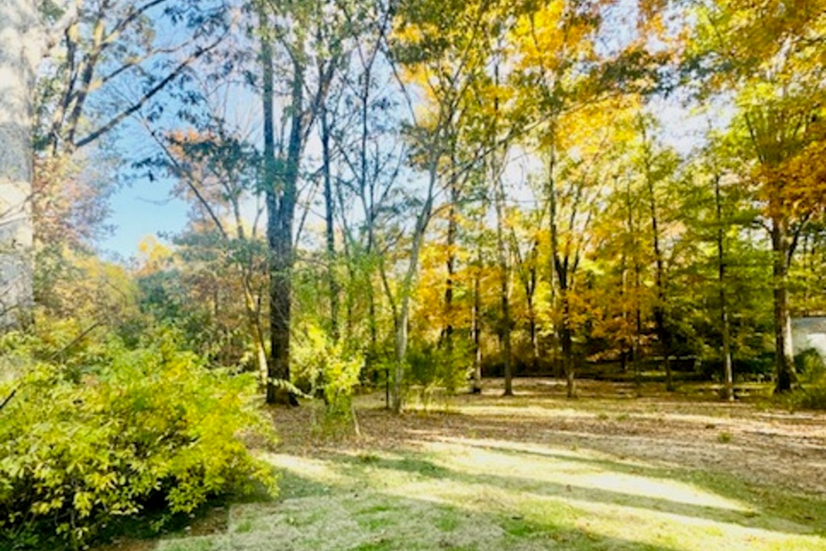 Large backyard with beautiful, old trees 