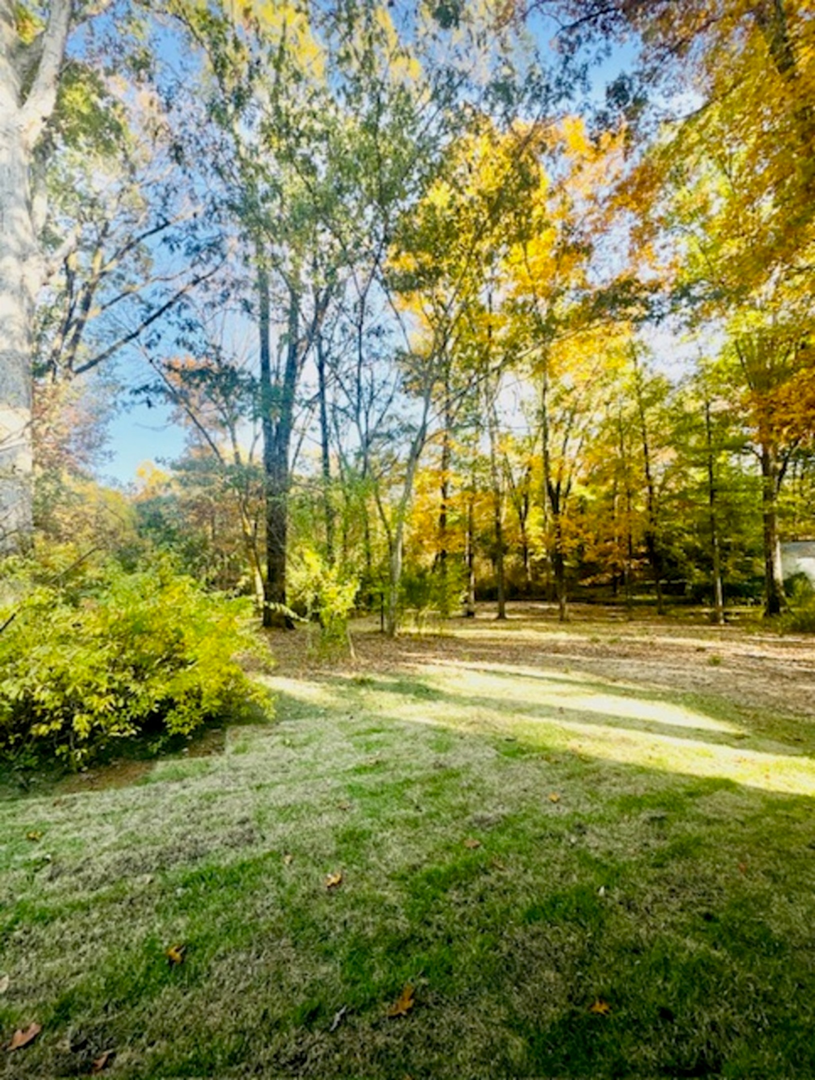 Large backyard with beautiful, old trees 