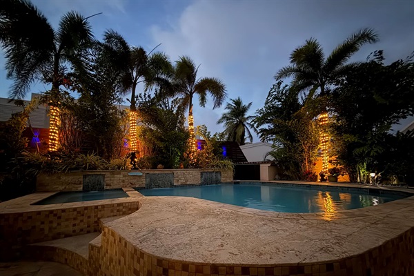 Palm trees light up for night swims.