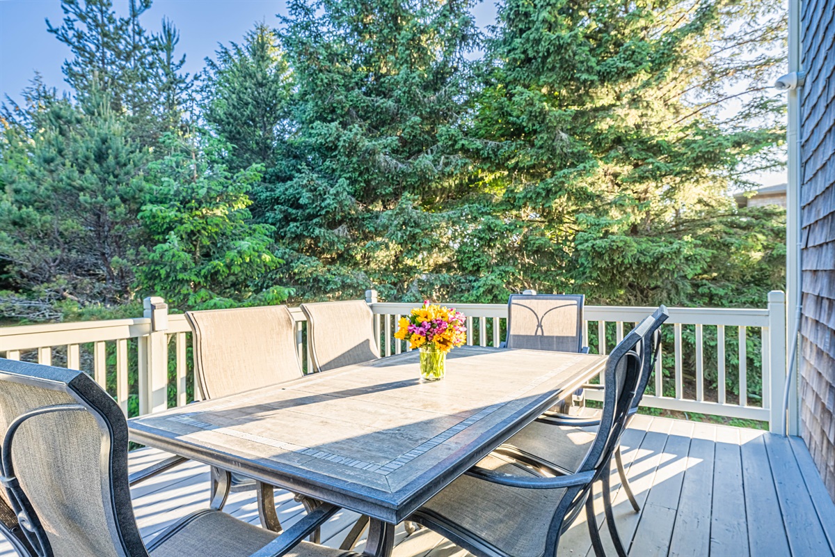 Back deck with table & chairs / seating for 6
