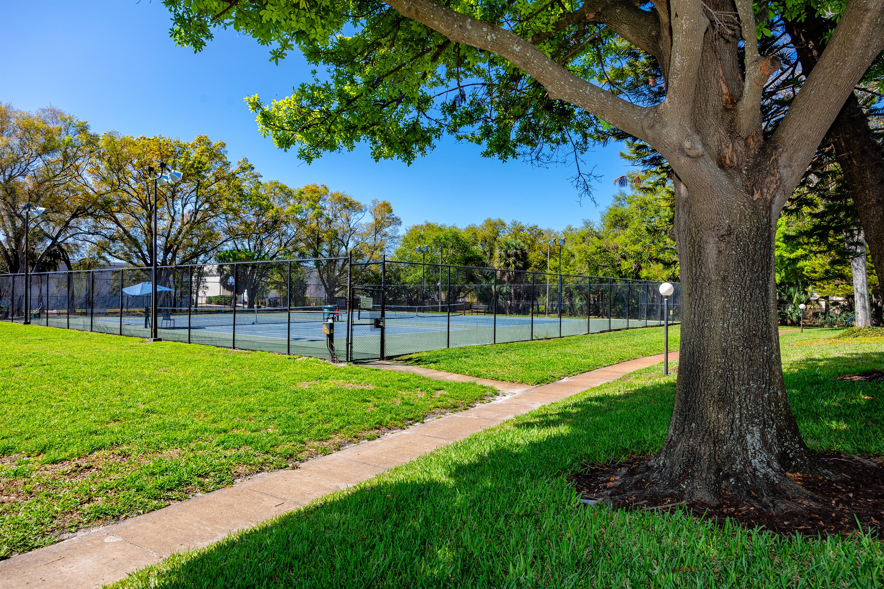 Tennis courts and Pickle Ball Courts