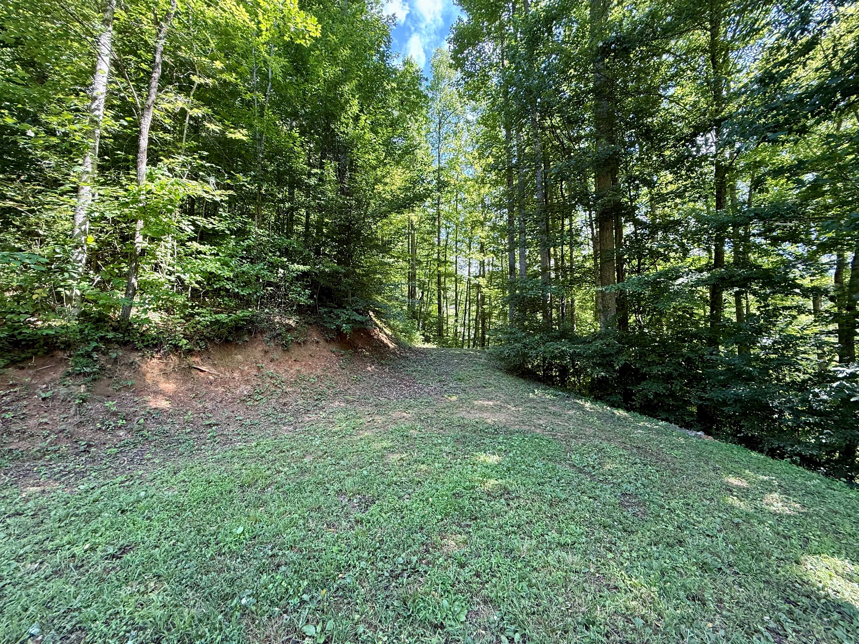Looking up to your private tent spot above Site 4 — camp your way.