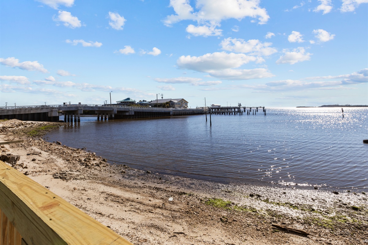 Life on the Water's Edge