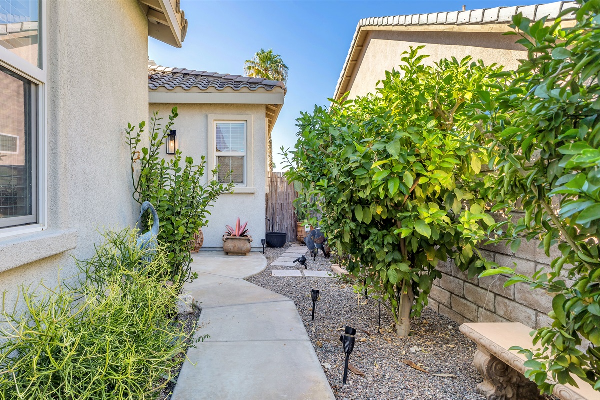 Private path lined with lush greenery and accent lighting leading to your serene courtyard.