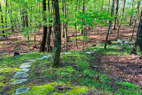 Hiking trails just a short walk away.
