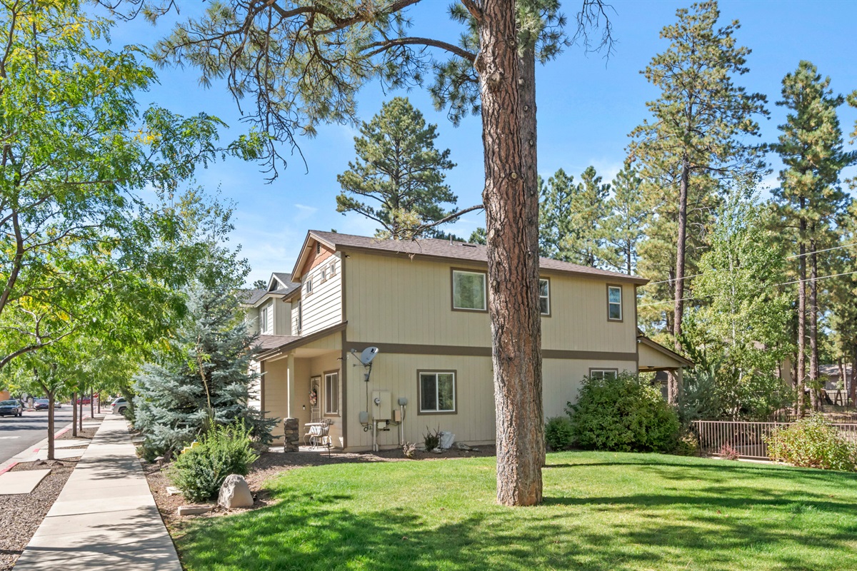 The open space beside the home offers a convenient place to stretch your legs, play, or enjoy the fresh mountain air.