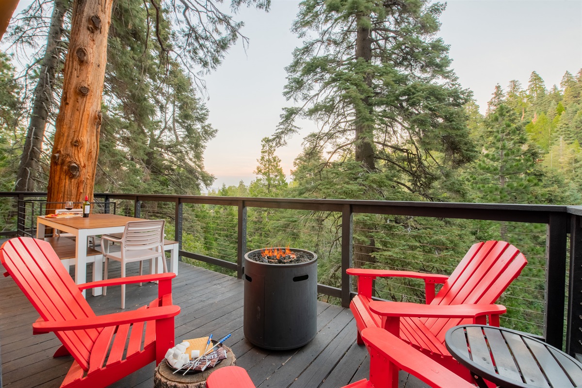 Make S'Mores while enjoying the amazing treetop view on your own private patio!