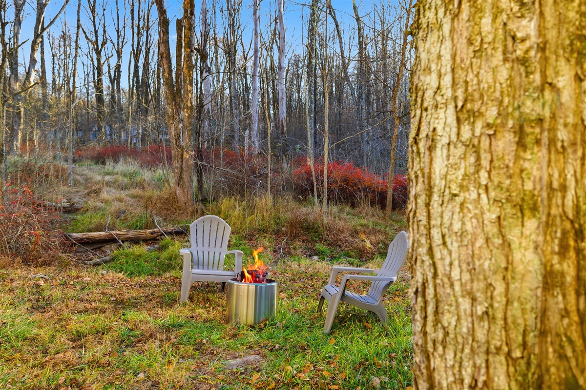 Smokelss firepit in backyard