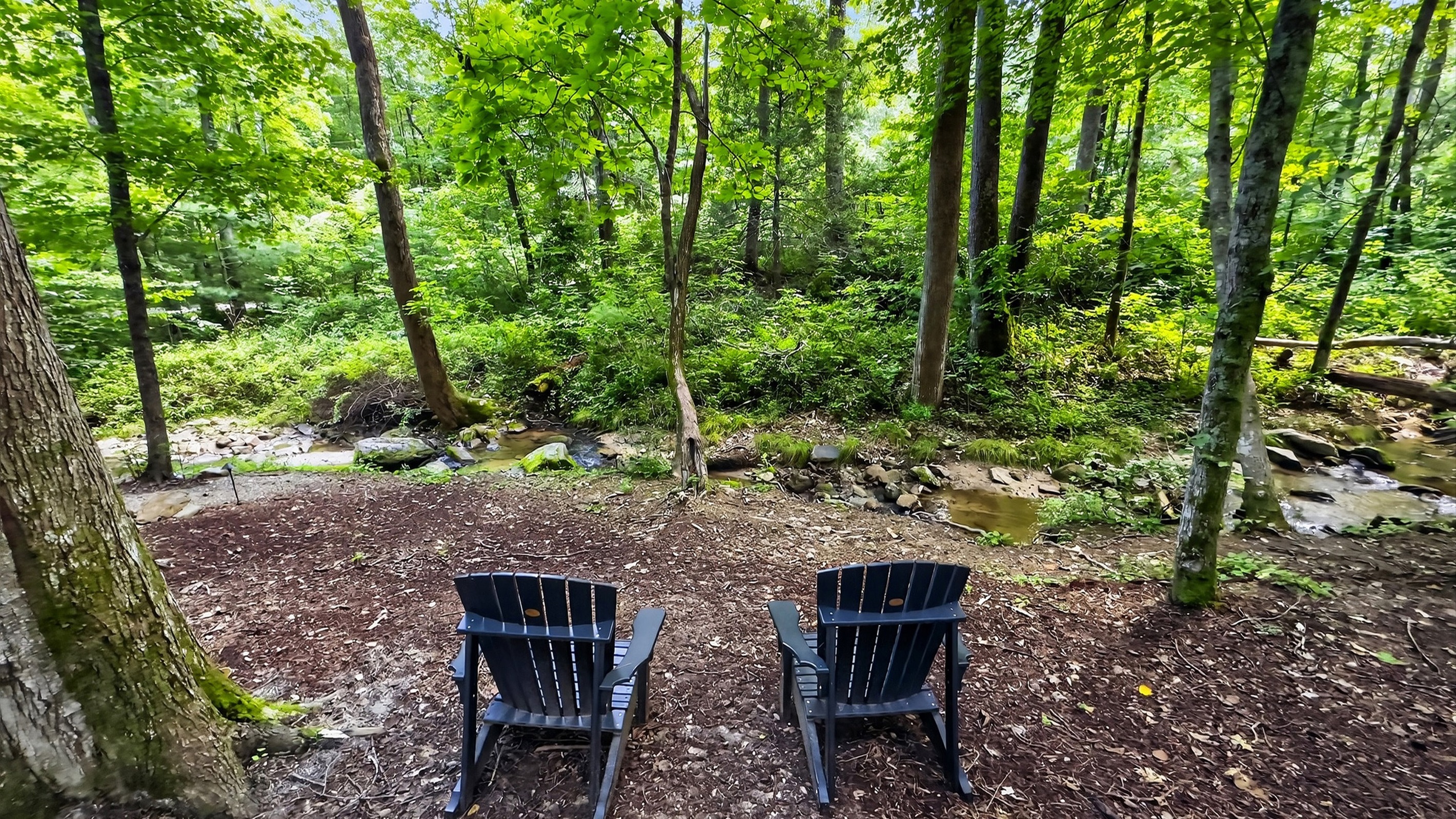 Sit by the creek and relax!