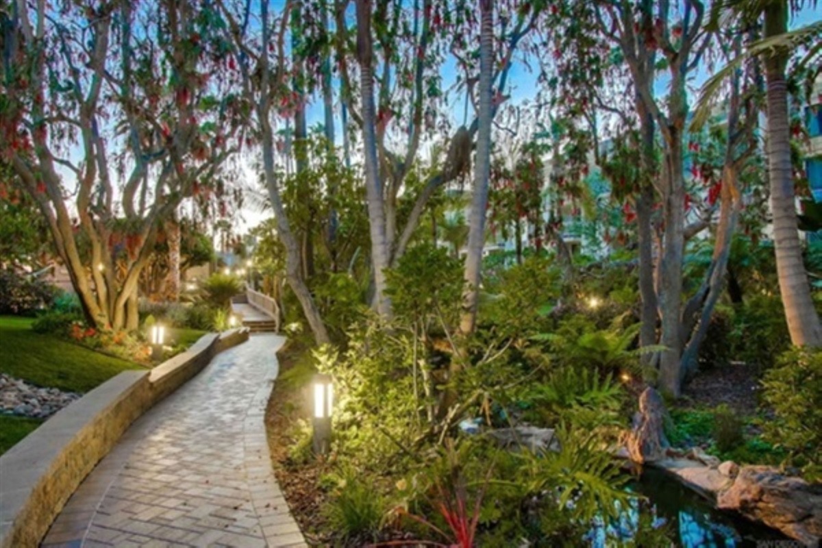 Trees & Colors Everywhere