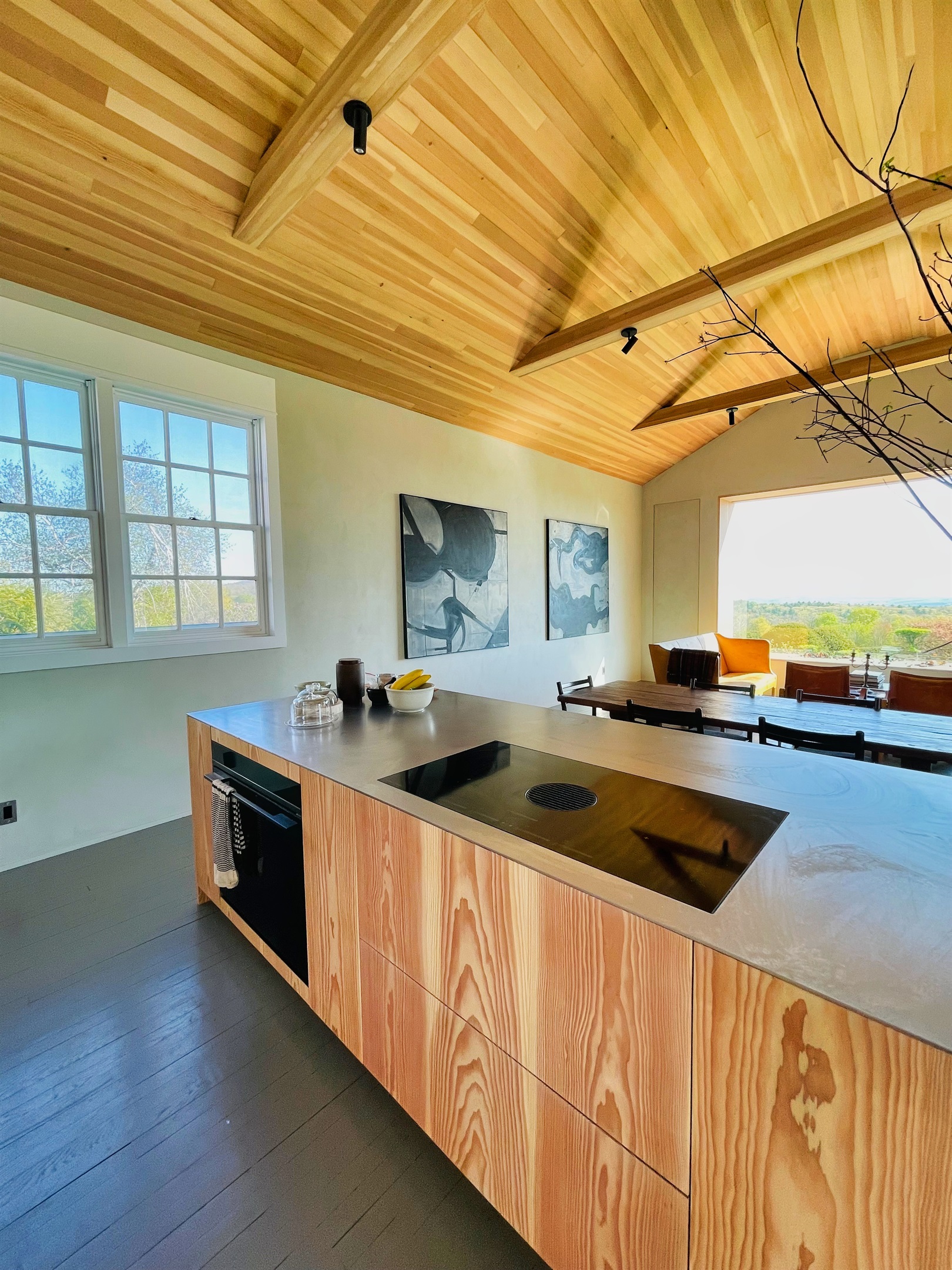 Hawk Field House - Custom designed Scandinavian kitchen with high end appliances.