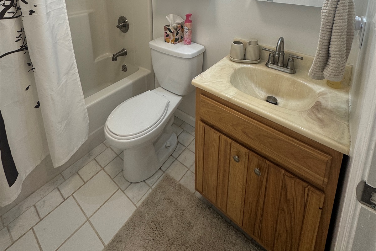 Lower level bath with tub/shower