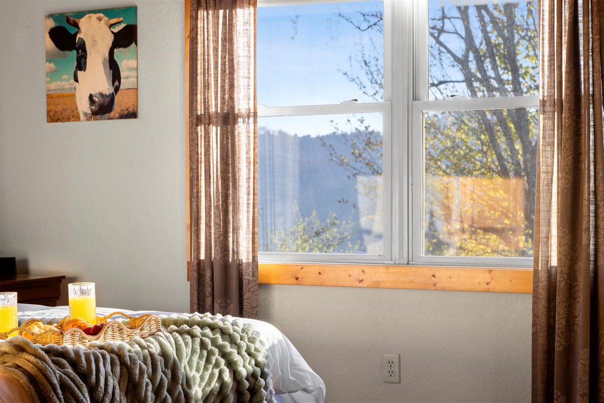 Sunny Escape: Enjoy morning views with a delightful breakfast in this charming room!