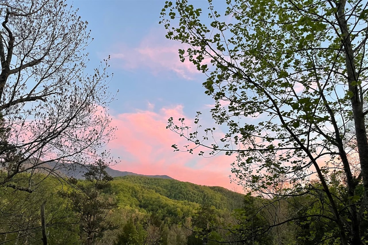 View from the rear balcony