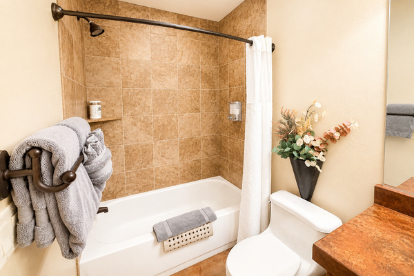 Main Level Guest Bath