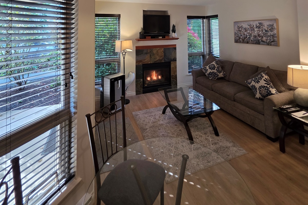 Unit B Natural Gas Fireplace. Double Glass Patio Doors. AC Unit as well!