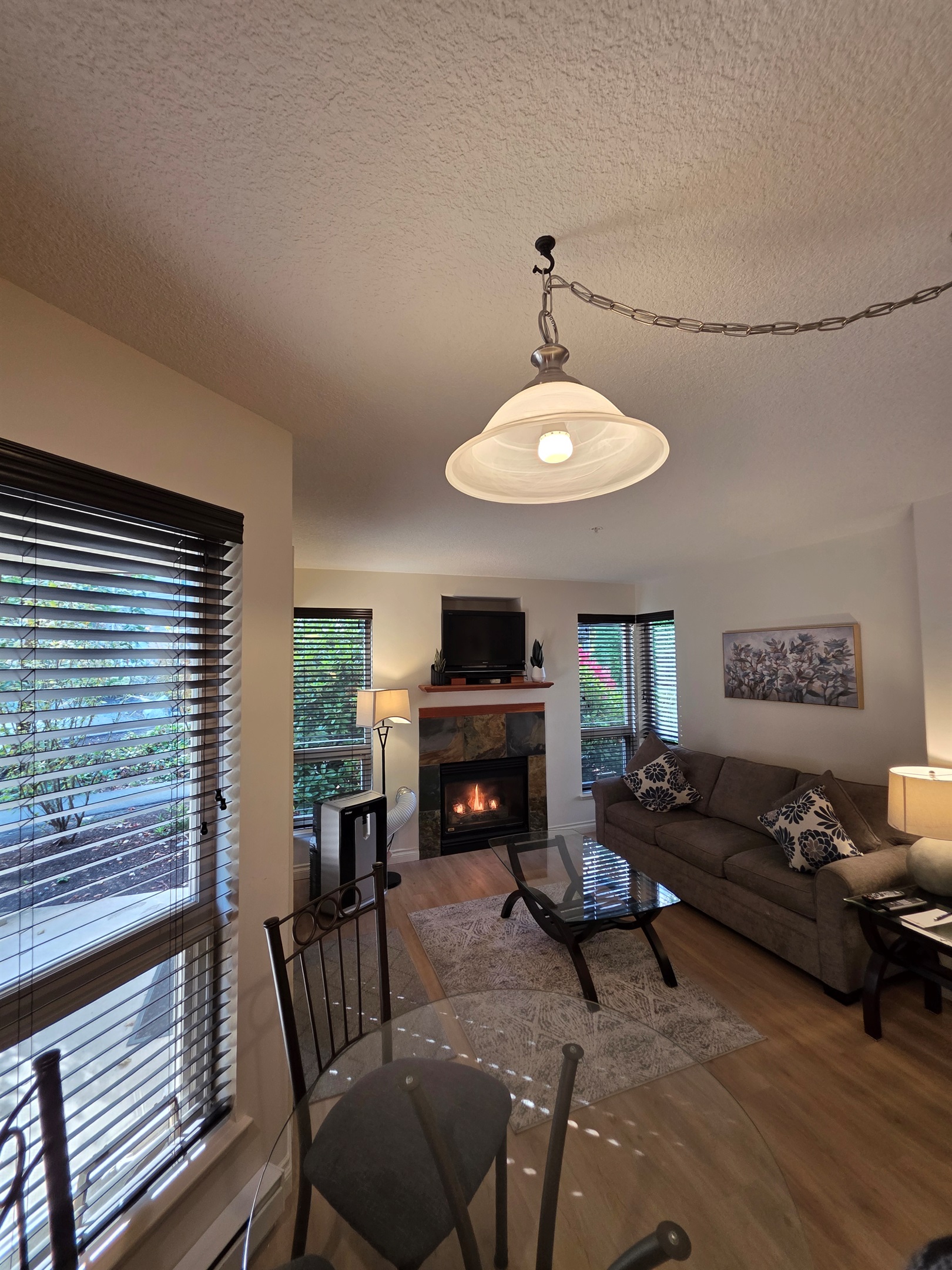 Unit B Natural Gas Fireplace. Double Glass Patio Doors. AC Unit as well!