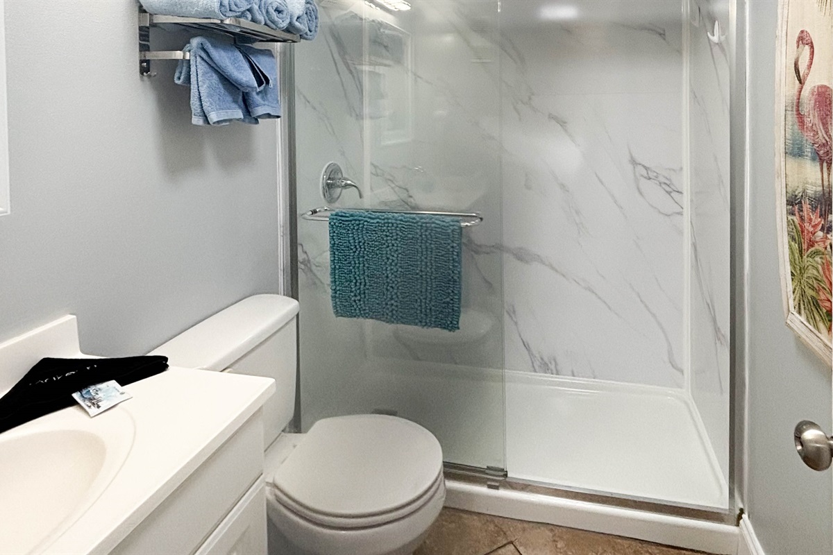 Now I can have fun with this shower head! Yes, indeed! Bathroom with walk in shower and rain shower head!