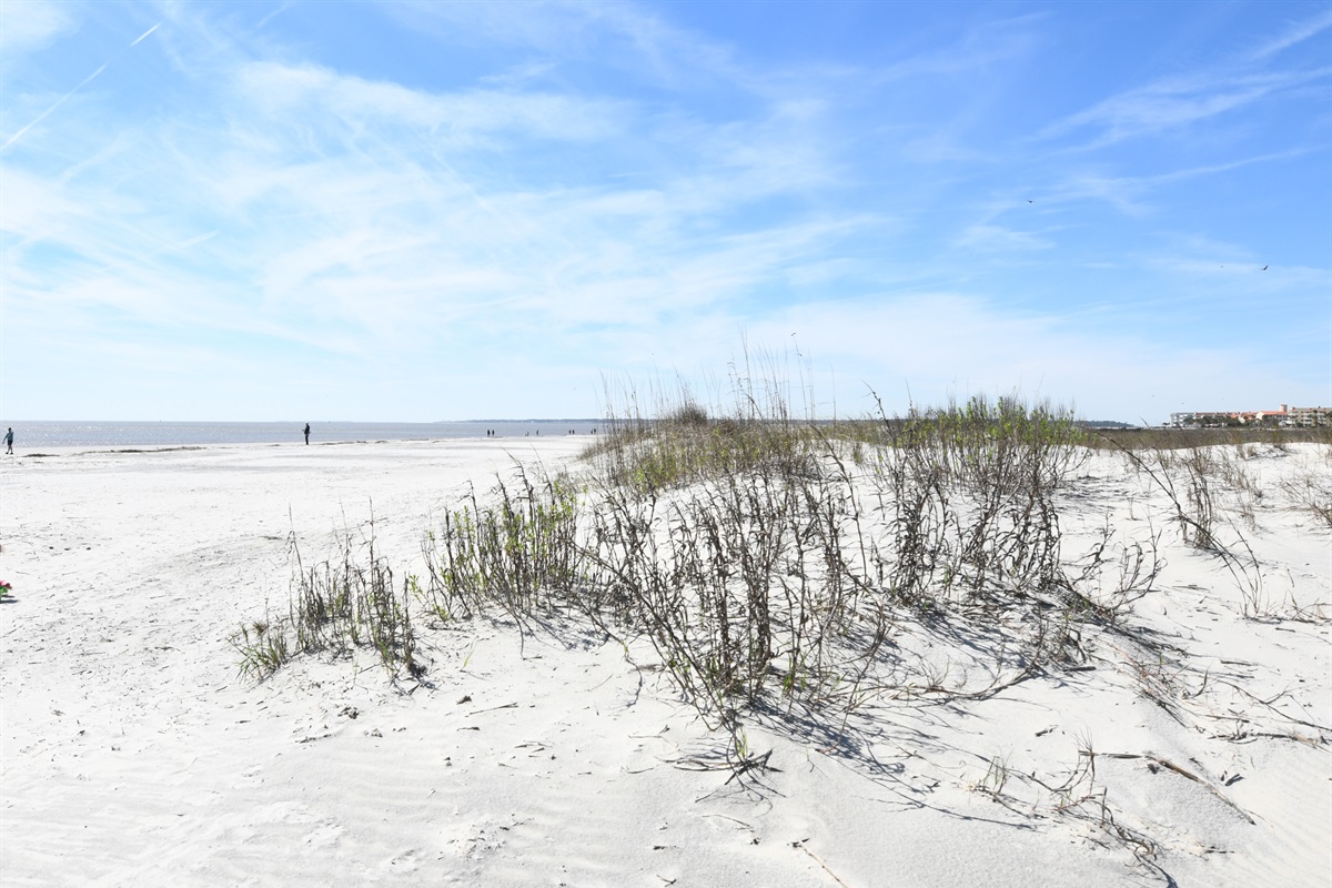 Olive Way Townhouse St Simons Rentals, LLC