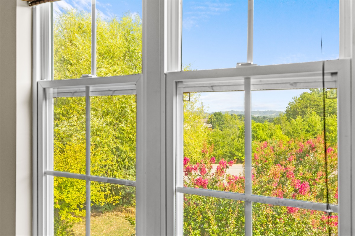 View From Master Bedroom