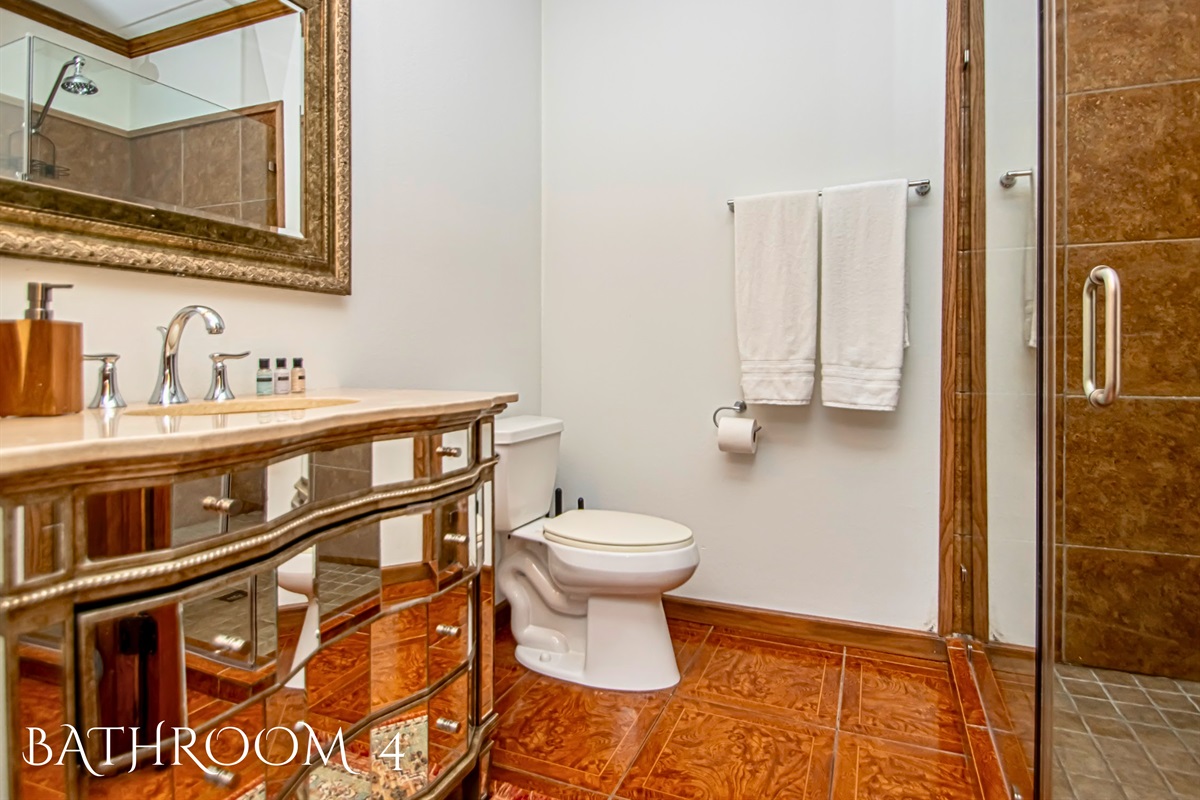 Ensuite Bathroom with Walk-In Shower on the Lower Level with Large and Bright Vanity