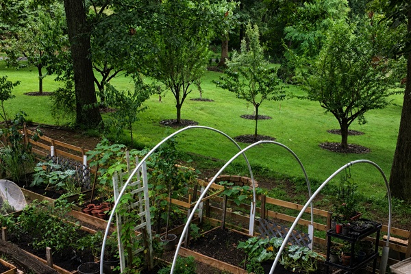 Vegetable Garden scene at Stone Leaf Farm.