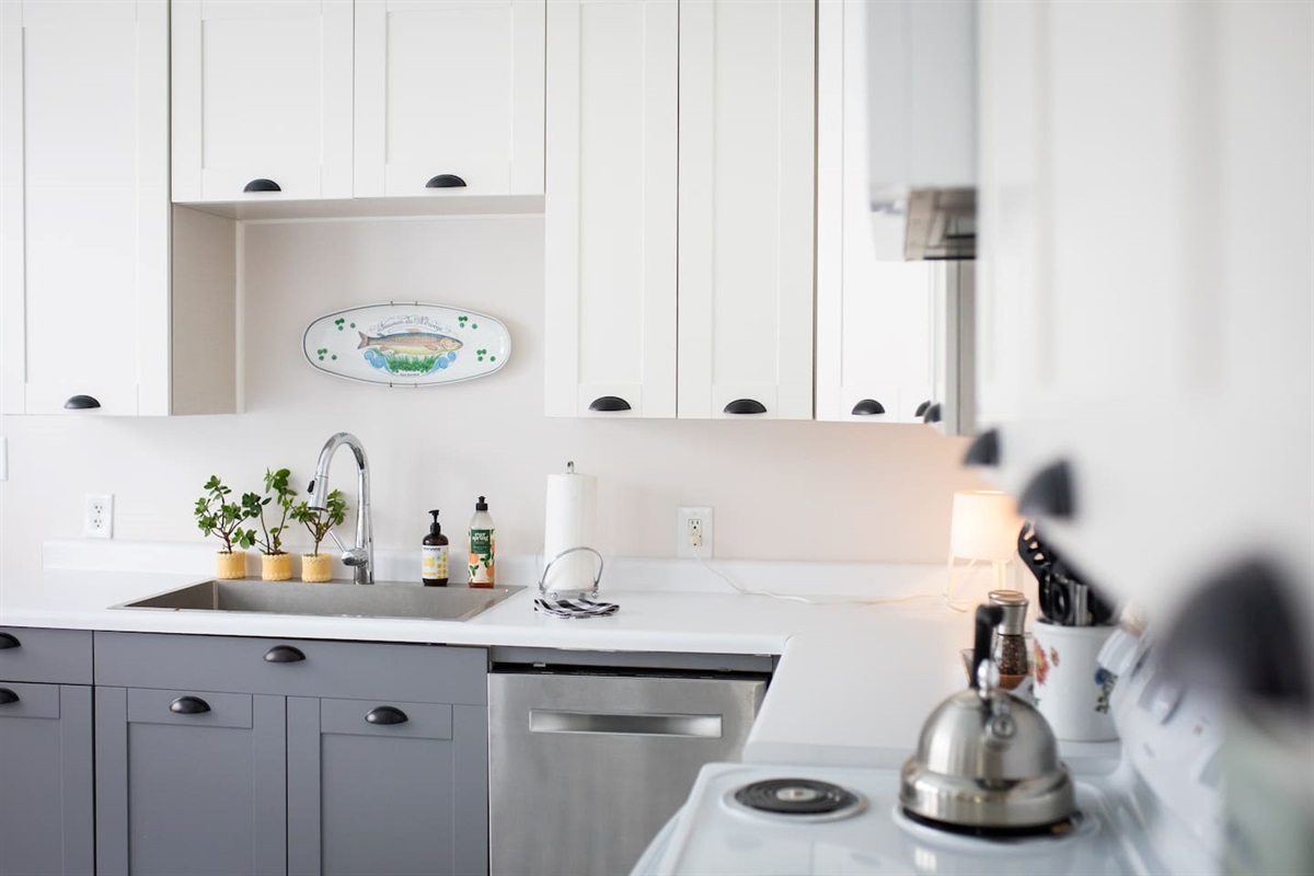 Clean, uncluttered prep space with modern sink, dishwasher, and generous counter space for everyday cooking. 