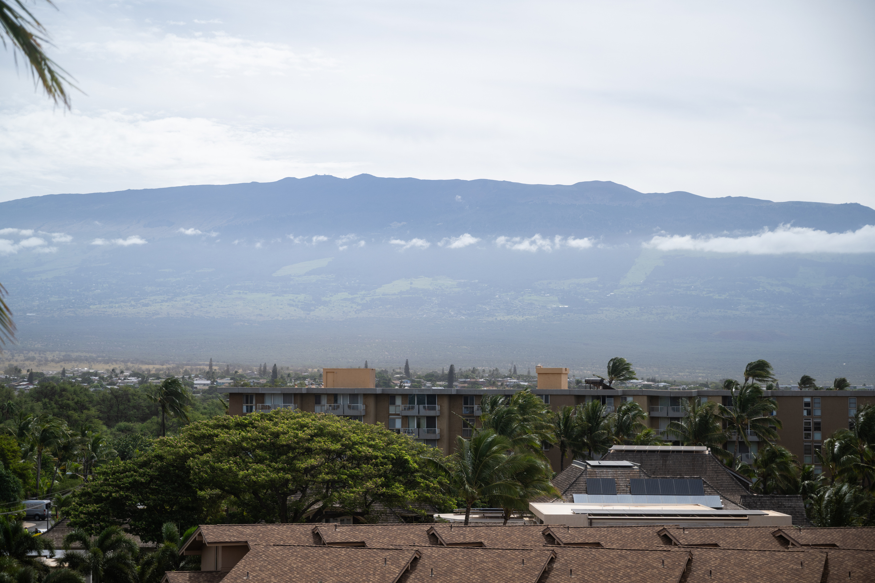 Mountain Views