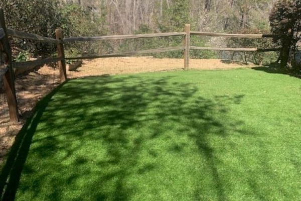 Back yard