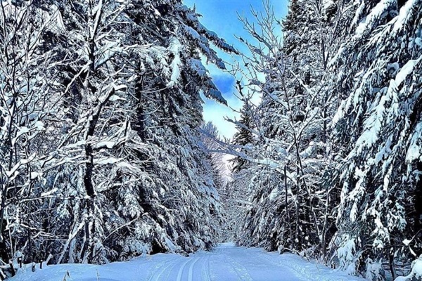 Ski de fond situé à Notre-Dame-du-Rosaire, le site des Sentiers de l'inconnu offre un circuit de 10 km de ski de fond classique dans un décor enchanteur.