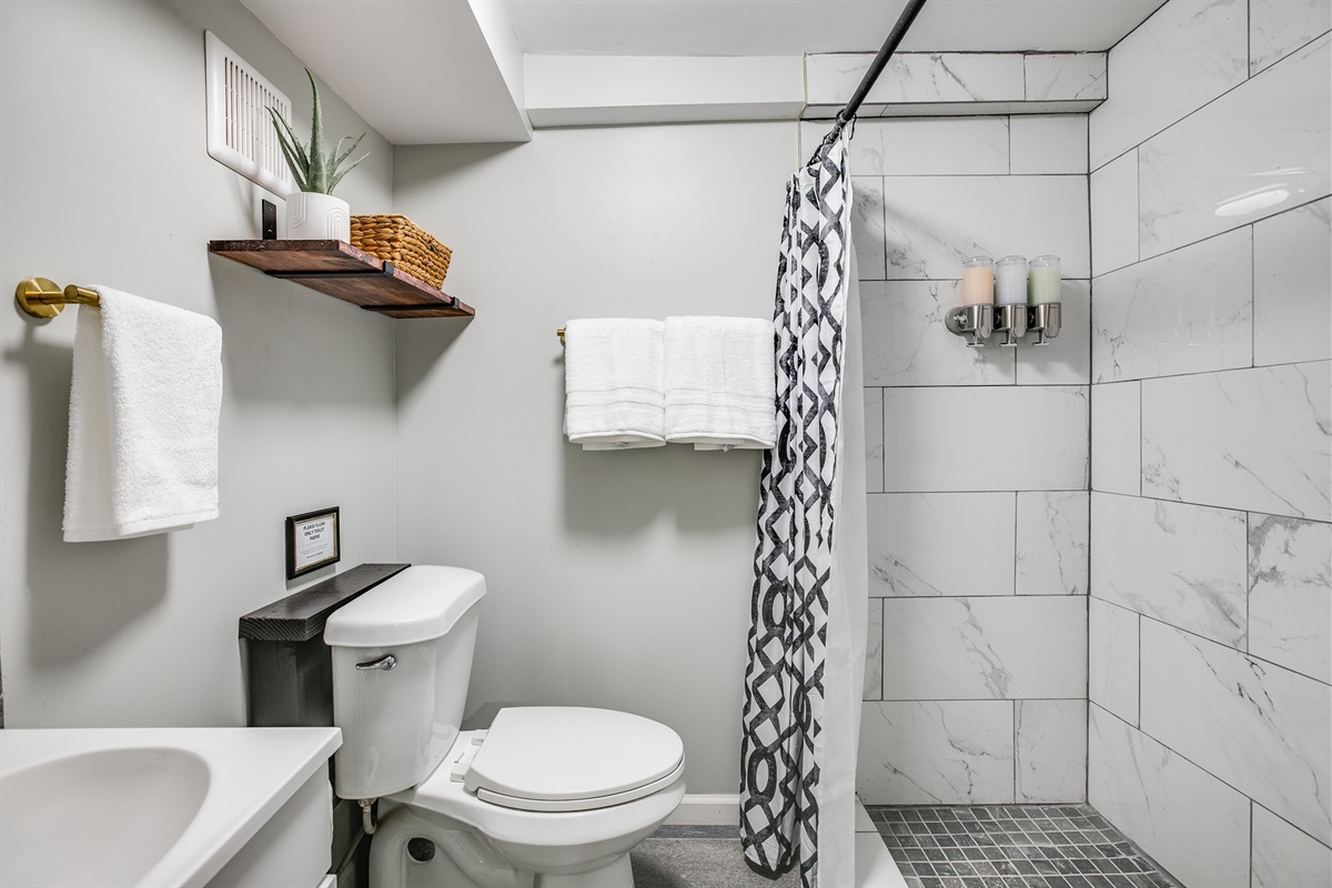 The basement bathroom is also newly remodeled and features a large walk-in shower.