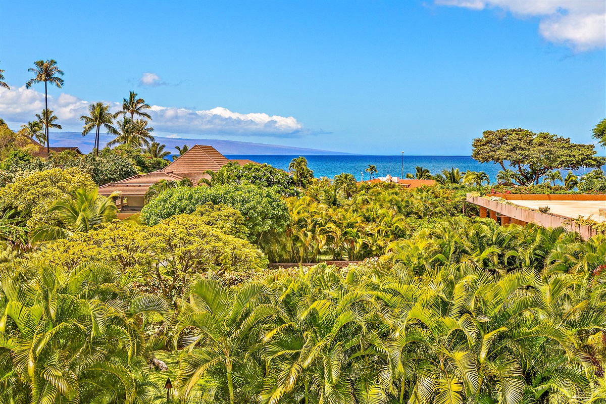 Ocean & Island View