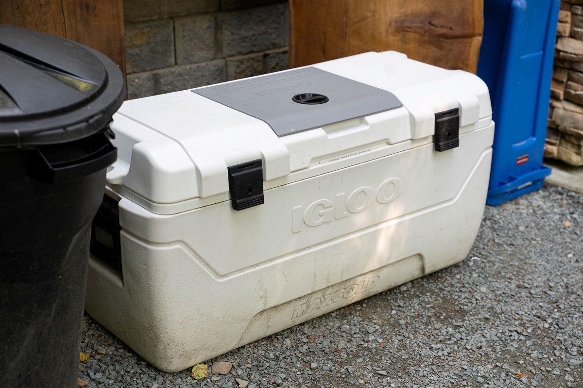 Igloo cooler available on-site