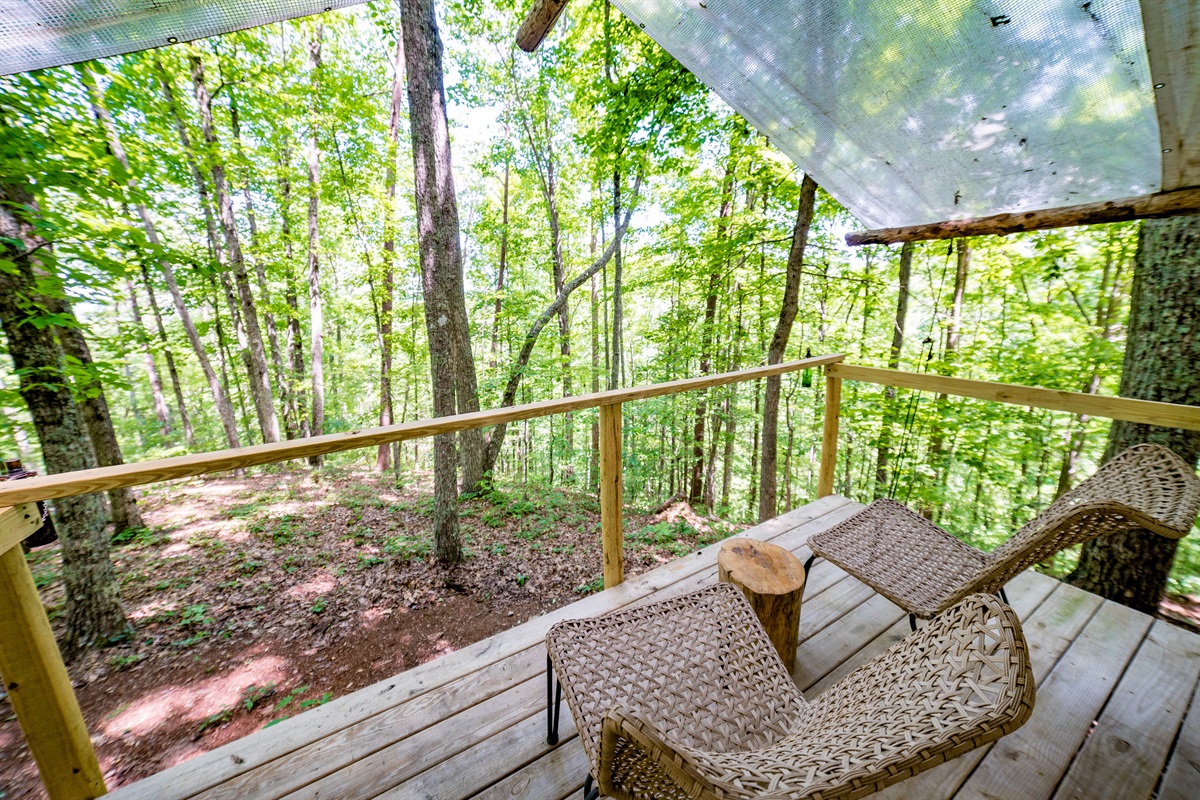 View from front porch of the tent.