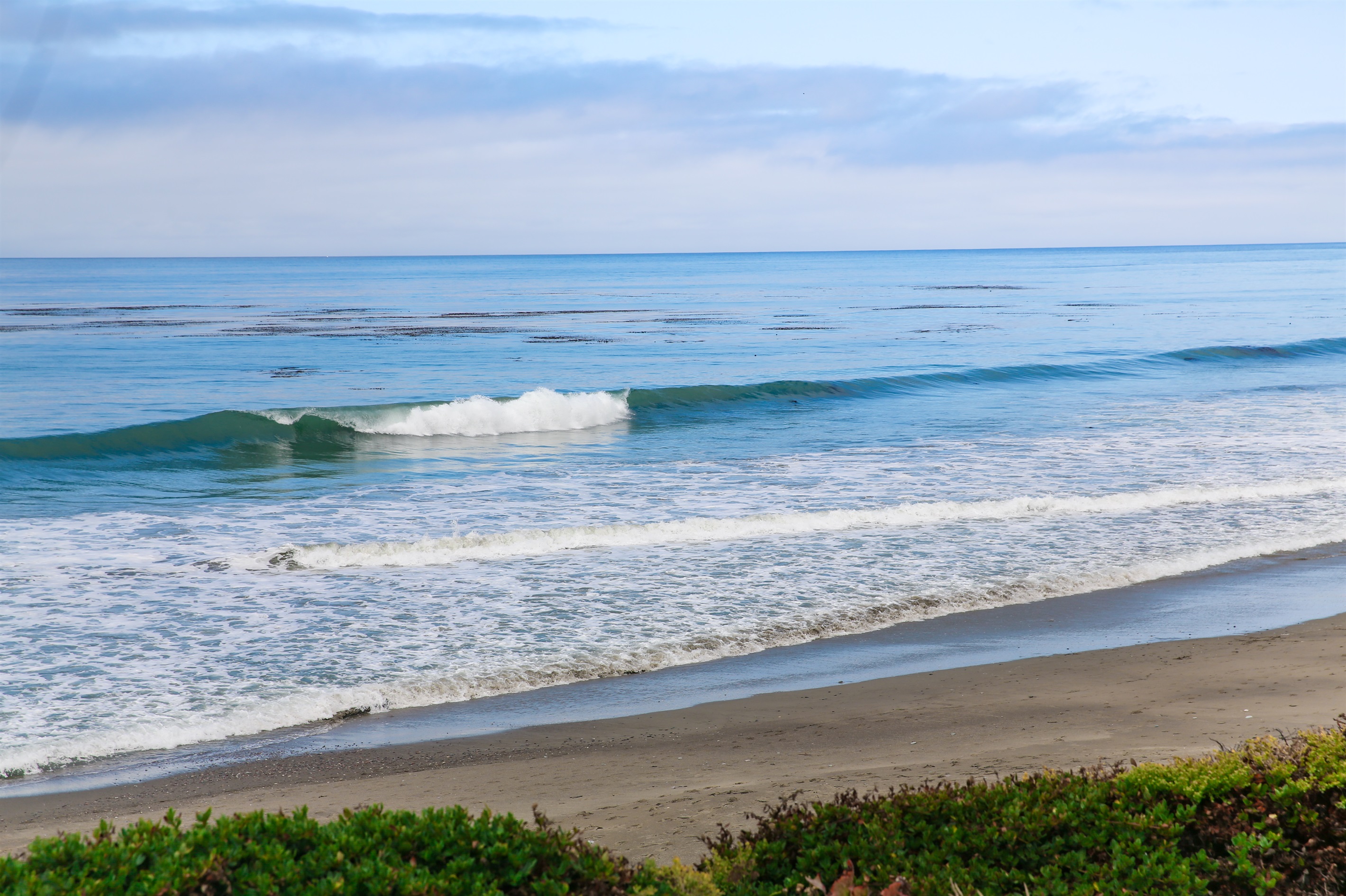 Waves at the beach