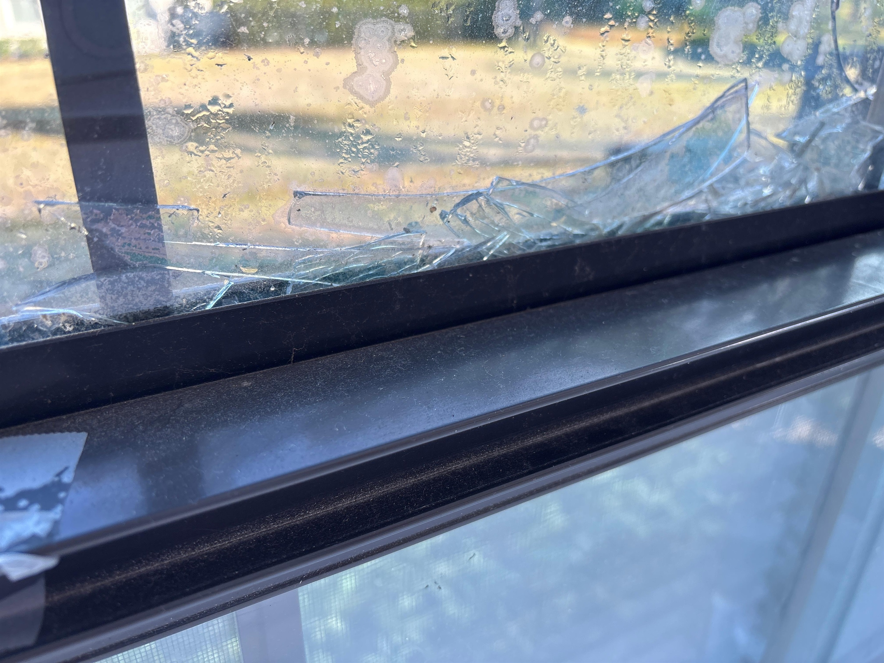 Kelly L., Nov 30, 2025